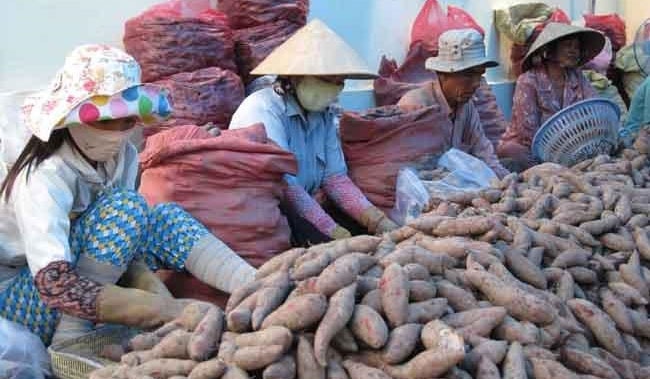 Điêu đứng vì giao dịch miệng