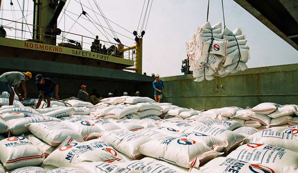Xuất khẩu gạo cao cấp được mùa