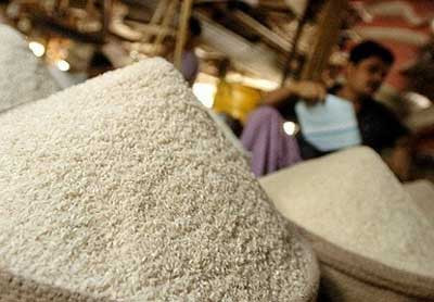 Hỗ trợ xuất khẩu gạo: Bài học từ Thái Lan