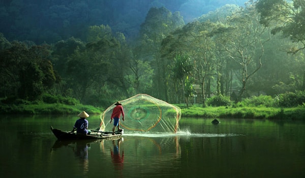 Vừa đi vừa ngủ