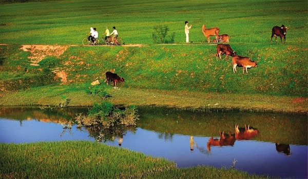 Lời thề 400 năm