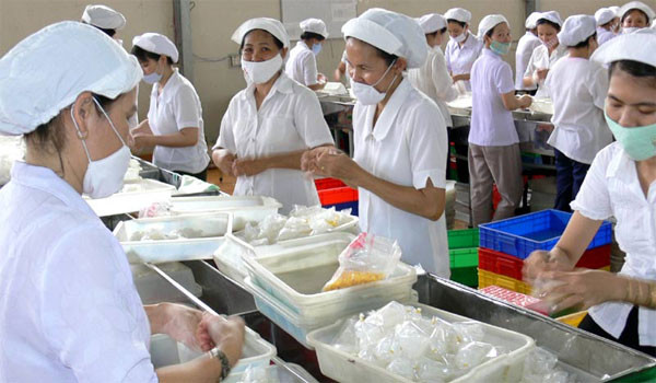 Kinh tế Việt Nam có dấu hiệu phục hồi