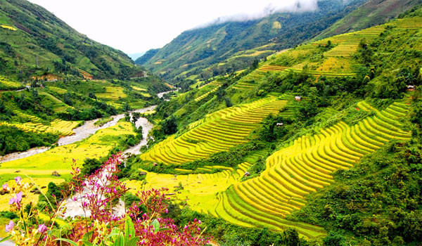 Việt Nam hấp dẫn du khách Anh