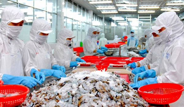 Quy định mới về xuất khẩu thực phẩm sang Hoa Kỳ