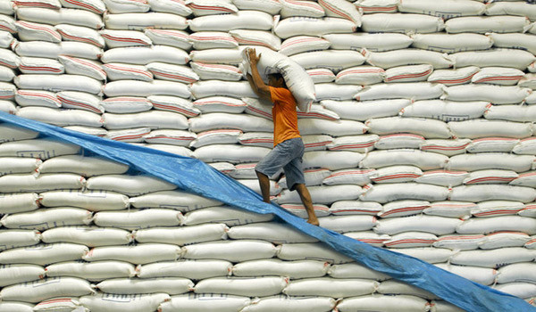Indonesia sẽ nhập 300.000 tấn gạo của Việt Nam