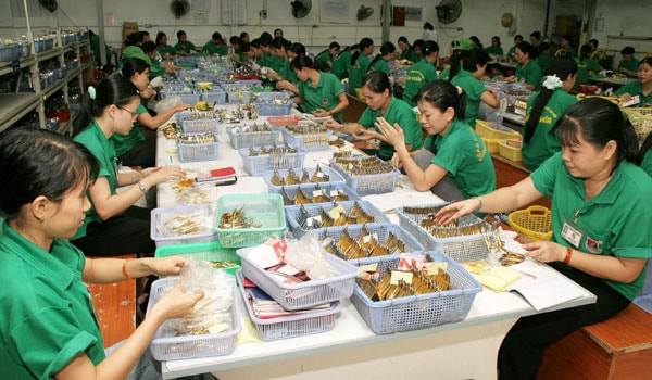 Xuất khẩu 2013: Mỹ vẫn là thị trường lớn nhất
