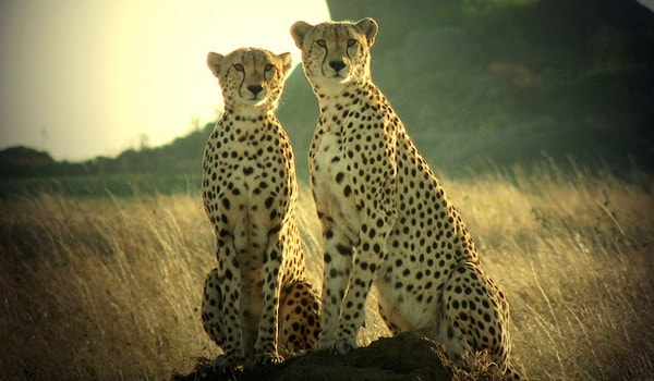 Top 10 địa điểm du lịch tại Tanzania
