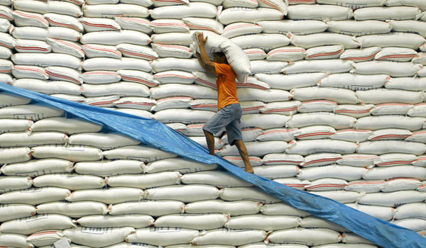 Giá gạo xuất khẩu tăng nhờ nhu cầu từ Trung Quốc