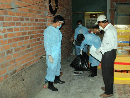 Ninh Thuận công bố dịch cúm H5N1 trên chim yến
