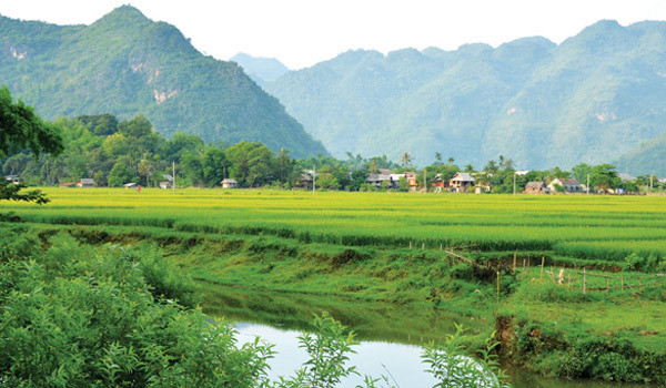 Những nơi trekking lý tưởng ở Việt Nam