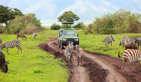 Thiên đường hoang dã trong miệng núi lửa Ngorongoro
