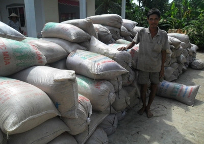 Mua tạm trữ lúa gạo: Nông dân có thực lãi 30%? 