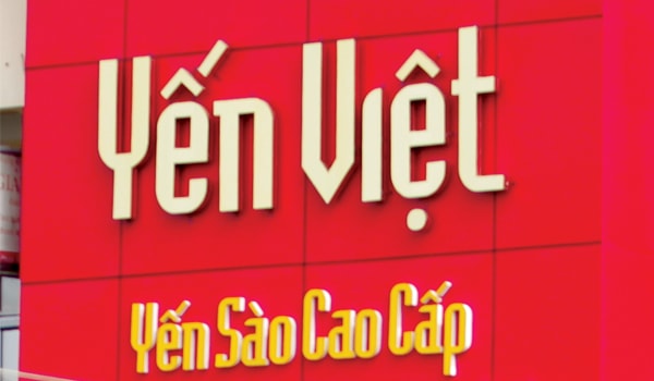 Yến Việt: Hung hay cát?
