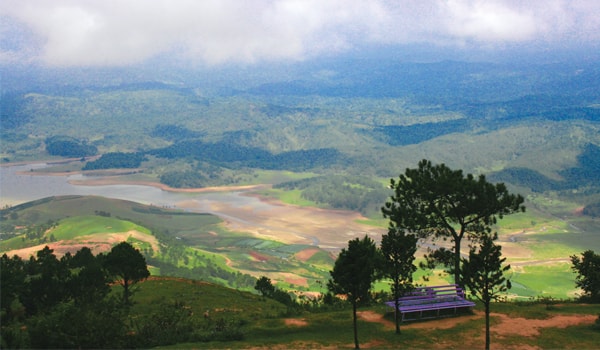 Đà Lạt, hoa hồng và sương muối