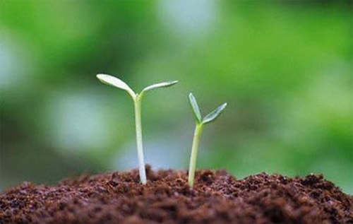 WB hỗ trợ các dự án hướng tới người thu nhập thấp 