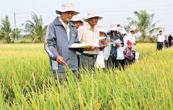 TPP và cơ hội hợp tác nông nghiệp Việt - Nhật