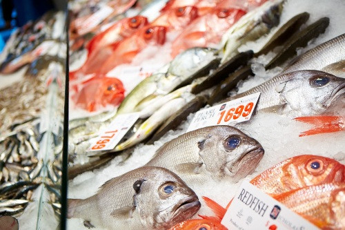 Hải sản tươi sống tại chợ cá nổi tiếng nhất Sydney