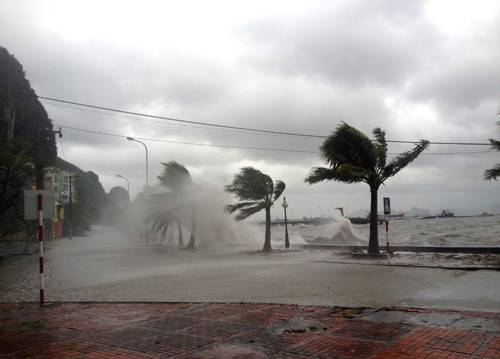 13 người chết, 81 người bị thương vì bão Haiyan