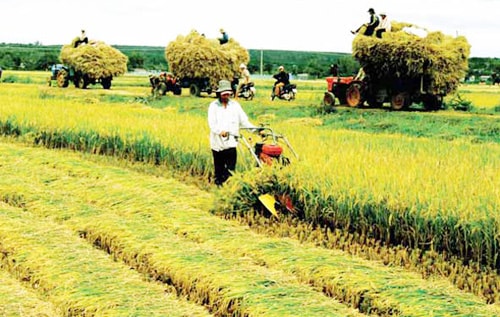 Nông nghiệp cần doanh nhân trí thức trẻ