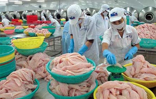 10 sự kiện nổi bật của xuất khẩu thủy sản Việt Nam năm 2013