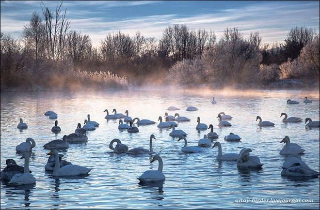 Vẻ đẹp kỳ ảo của hồ Thiên Nga trong mùa đông