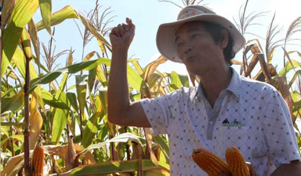 Người số 2 ở Hoàng Anh Gia Lai
