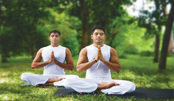 Office Yoga - Giải pháp sức khỏe cho dân văn phòng