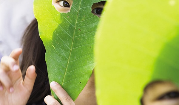 Nhớ nhà, là nhớ… nhà nào?