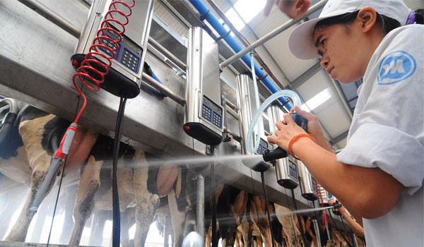 Công nghiệp Sữa Việt Nam: 