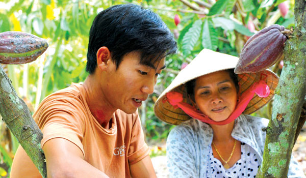 Ca cao Việt Nam: Cờ đã đến tay?