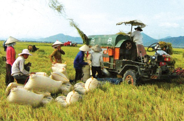 Bước nhảy của ngành nông nghiệp Việt