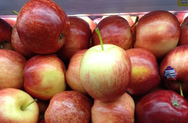 Việt Nam dừng nhập khẩu 38 loại hoa quả từ Australia