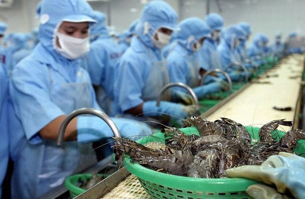 Mỹ, Nhật, EU báo động tôm, cá Việt Nam nhiễm kháng sinh