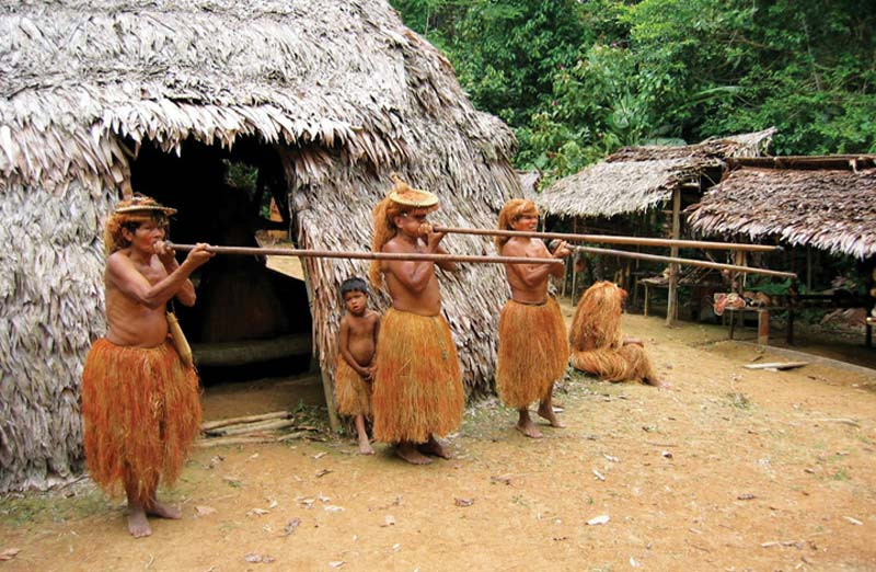 Thăm dòng Amazon huyền thoại