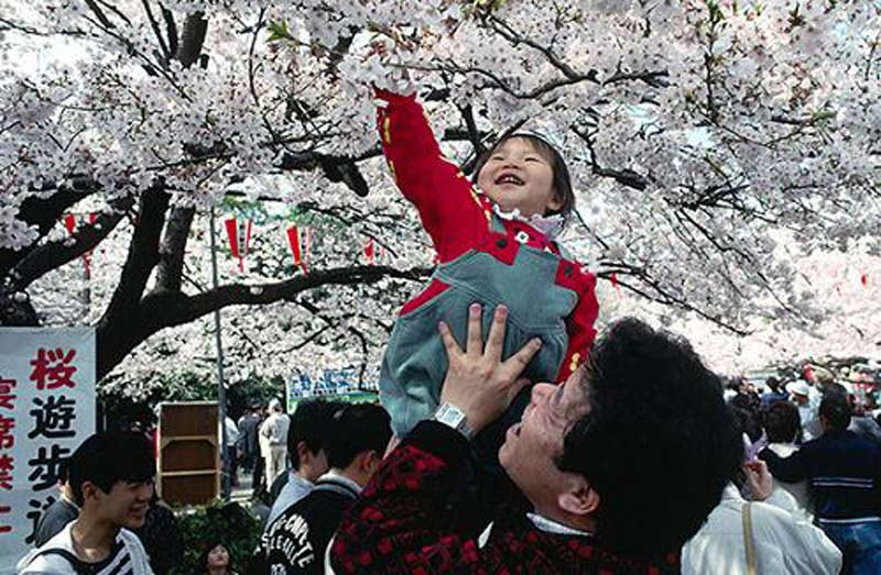 Những lễ hội mùa xuân hấp dẫn nhất ở Tokyo