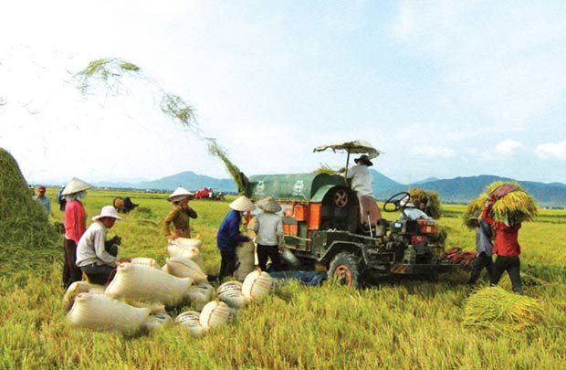 Nông nghiệp Việt Nam trong thế hội nhập 
