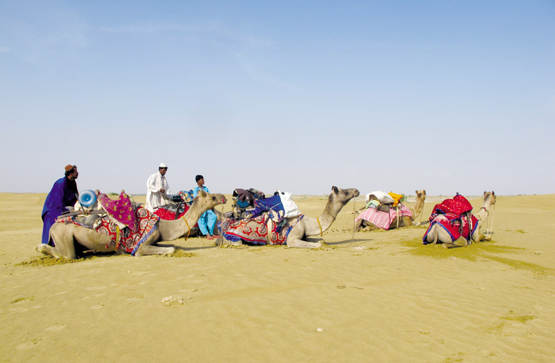 Sa mạc Thar: Miền cổ tích ám ảnh
