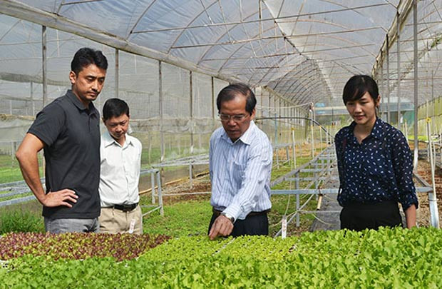 Nông nghiệp Việt khát FDI vì cơ sở hạ tầng yếu