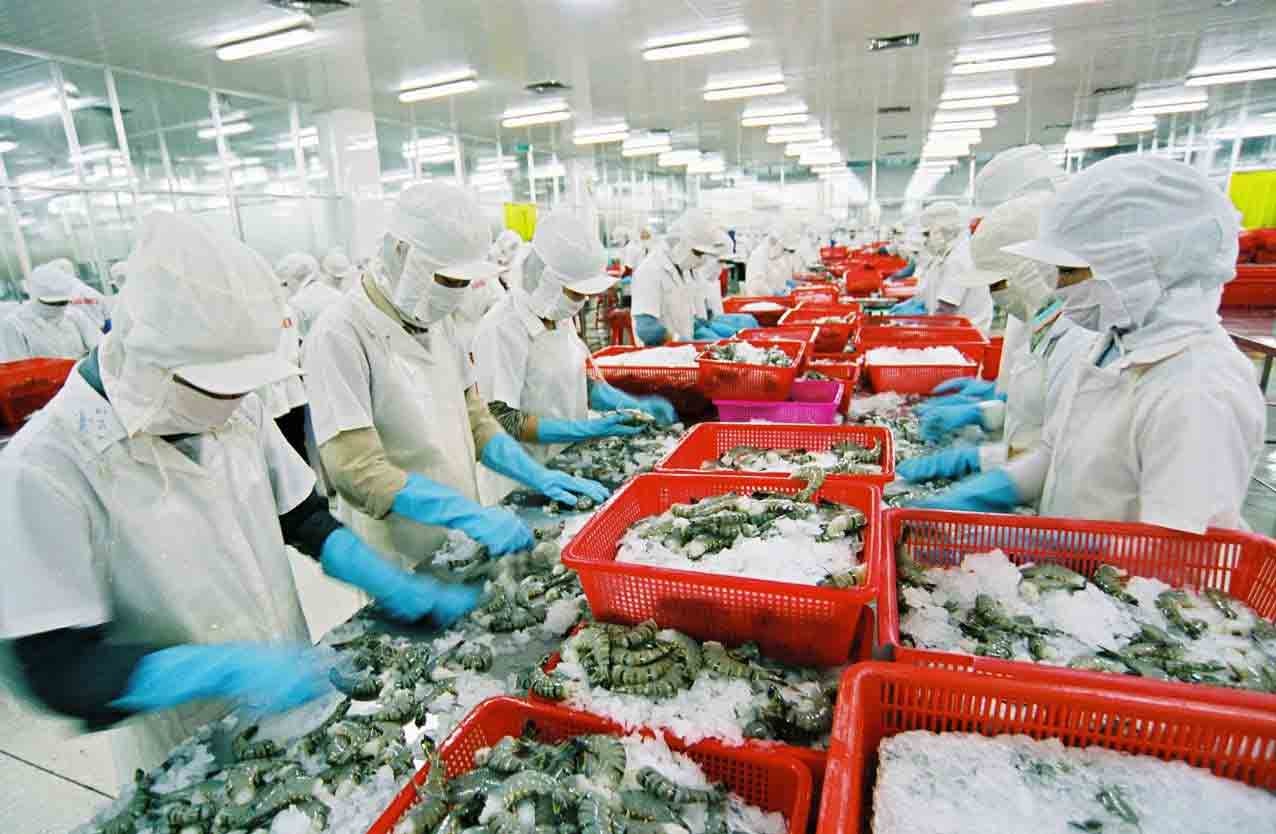 Cải cách thể chế, sửa luật nhưng quan trọng là thực thi