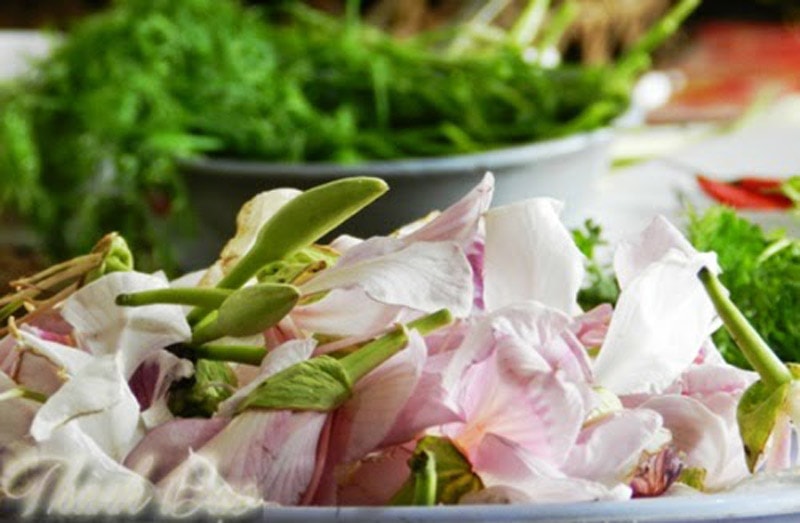 Nộm hoa ban