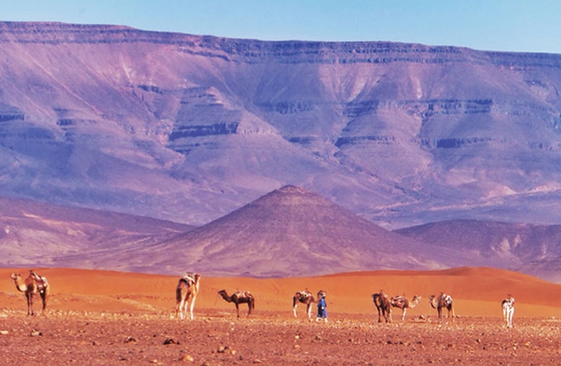 Những vẻ đẹp chỉ có ở Sahara