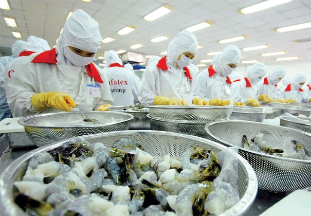 Xuất khẩu của Việt Nam sang EU sẽ tăng mạnh nhờ vào EVFTA