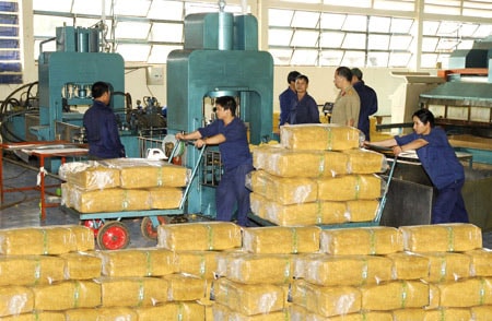 Malaysia: Việt Nam nên sớm tham gia ITRC để nâng giá cao su