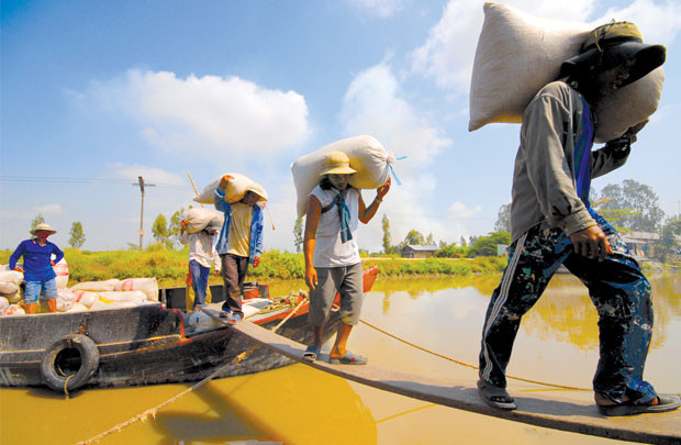 Bộ Công Thương tích cực tìm đầu ra cho nông sản Việt