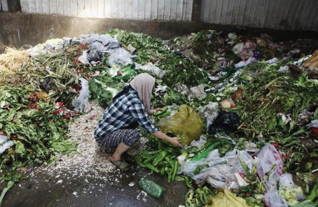 Thế giới đang lãng phí 1,3 tỷ tấn lương thực hàng năm