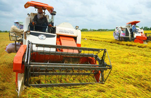 Nông nghiệp Việt phải cải tiến từ 