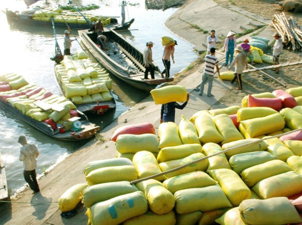 Philippines mời Việt Nam đấu thầu cung cấp 250.000 tấn gạo