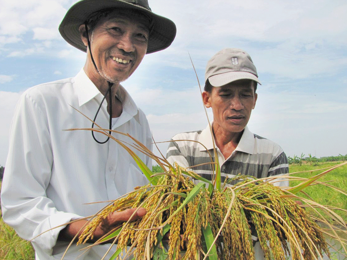 DN Nhật đầu tư công nghệ cao vào nông nghiệp Việt Nam