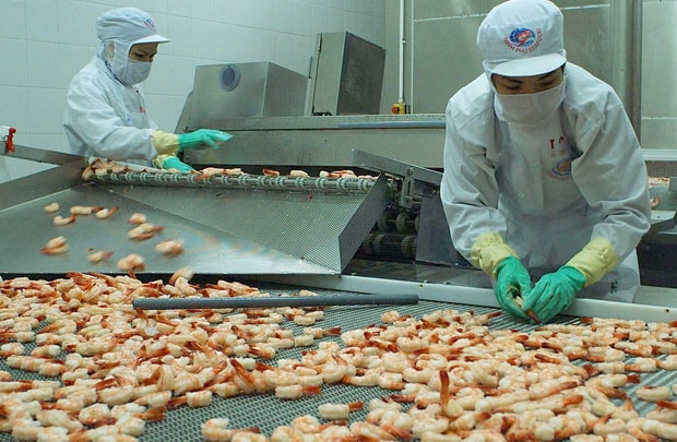 Đồng yên giảm giá: Xuất khẩu thủy sản bị tác động mạnh