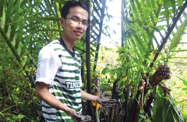 Khai thác dịch nhựa từ dừa nước